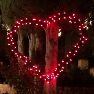 Meet your Posher, Paige